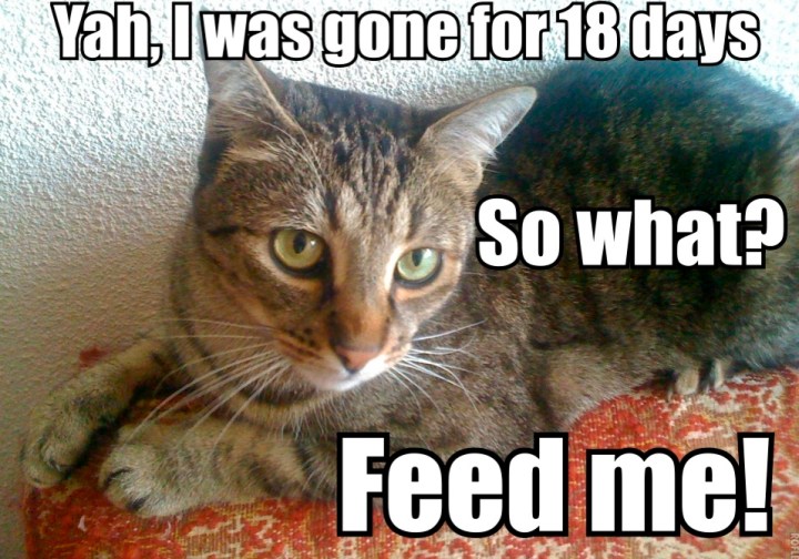 mrzigfuckingranawayfor18days