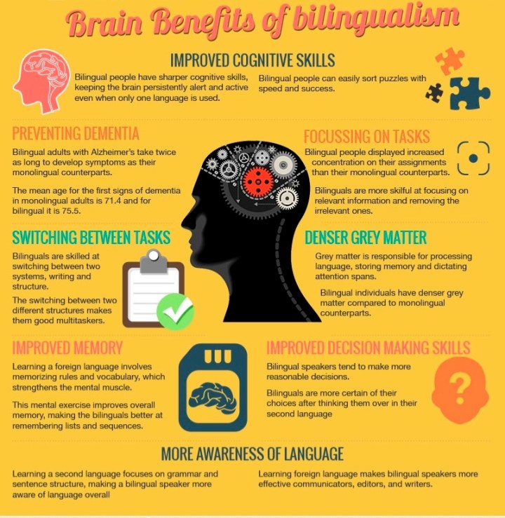 bilingualbrainbenefits