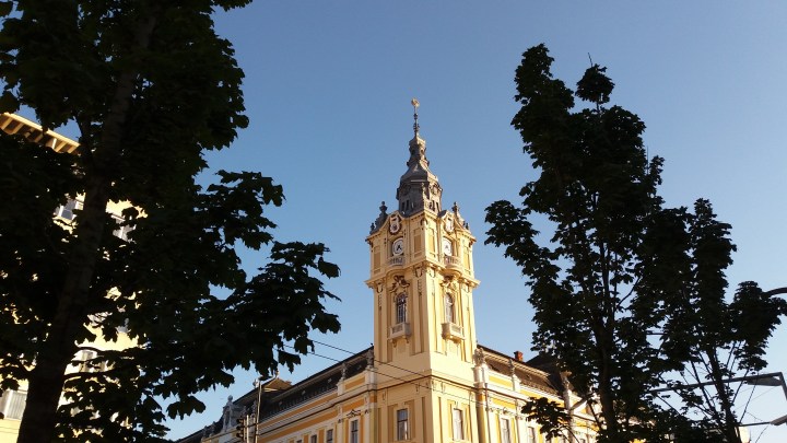 Cluj city hall